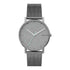 Skagen Denmark Signatur Titanium