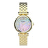 Timex Unbekannt