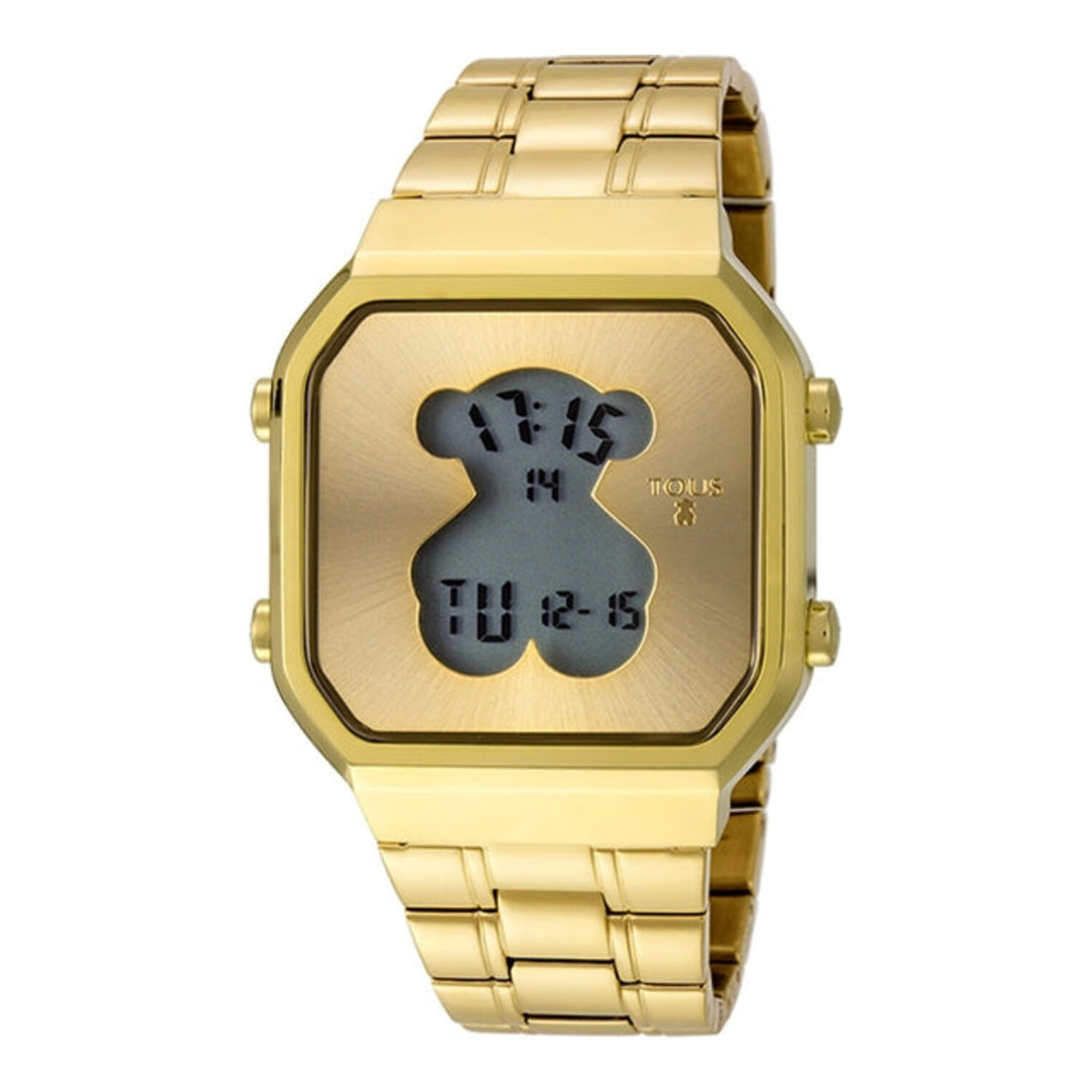 Tous D Bear SQ