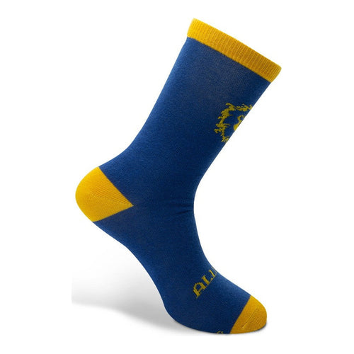 world of warcraft socken alliance
